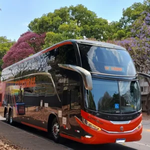 bus